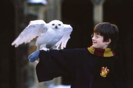 Elevul Harry Potter