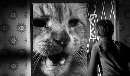 Jack Arnold: The Incredible Shrinking Man, 1957